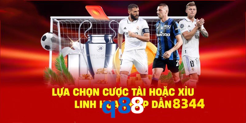 Danh mục đa dạng, đoán chuẩn là nhận tiền