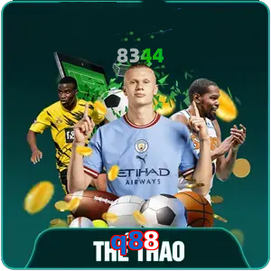 the-thao-q88