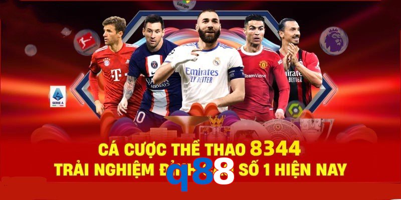 Đá Gà Philippines – Tinh Hoa Truyền Thống Và Thể Thao 